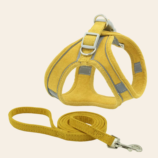 The Reflective Harness and Lead