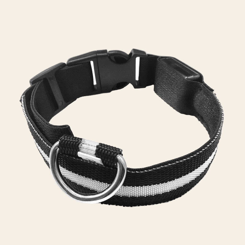 The LED Safety Collar