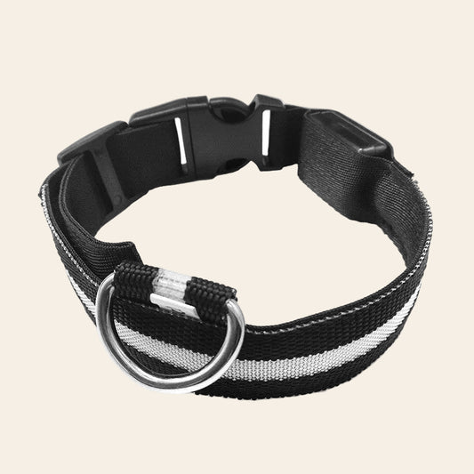 The LED Safety Collar