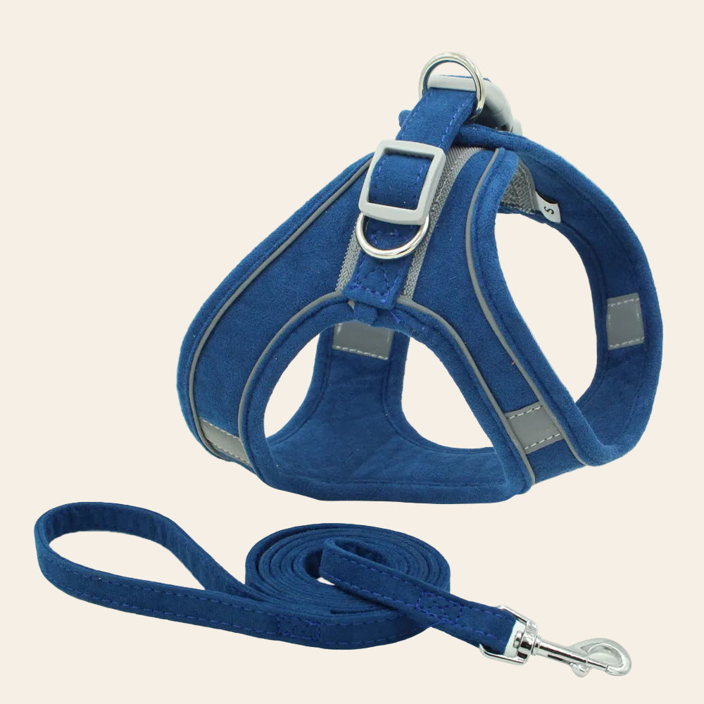 The Reflective Harness and Lead