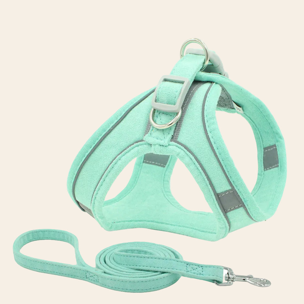 The Reflective Harness and Lead