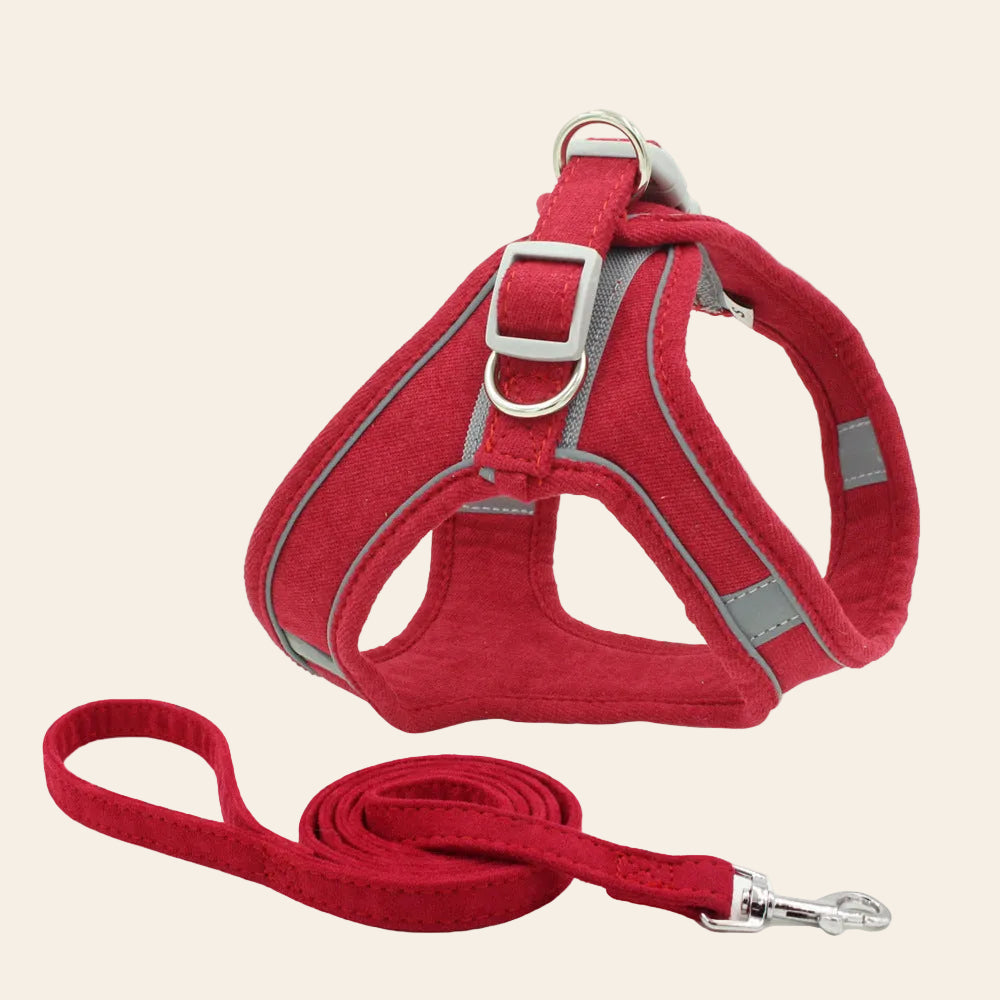 The Reflective Harness and Lead