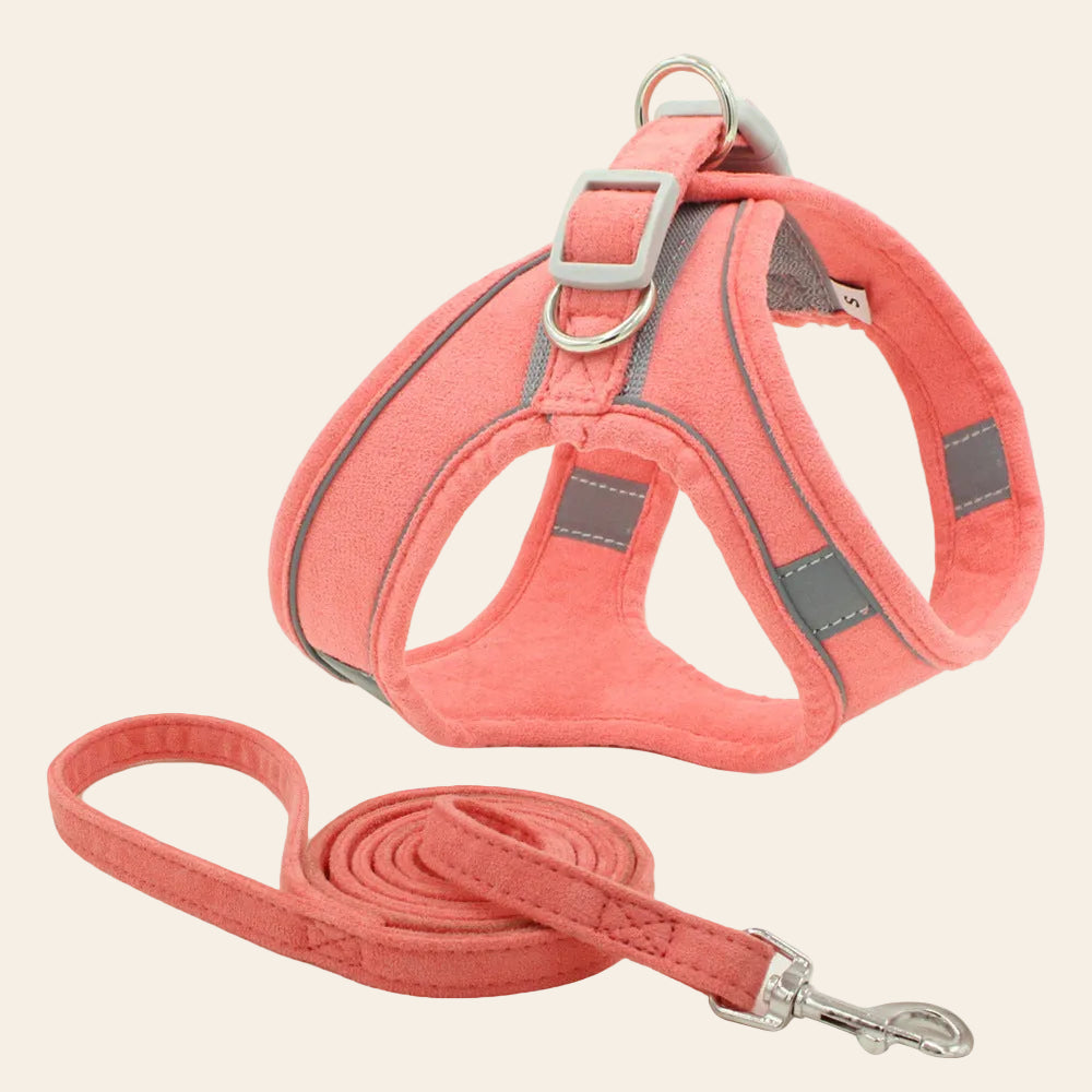 The Reflective Harness and Lead