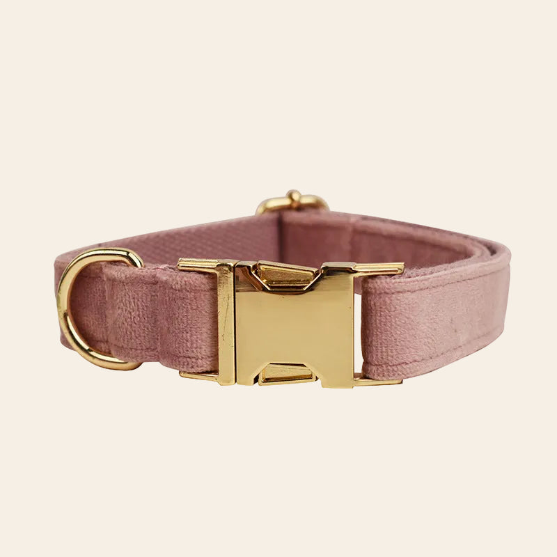 The Lilac Velvet Set