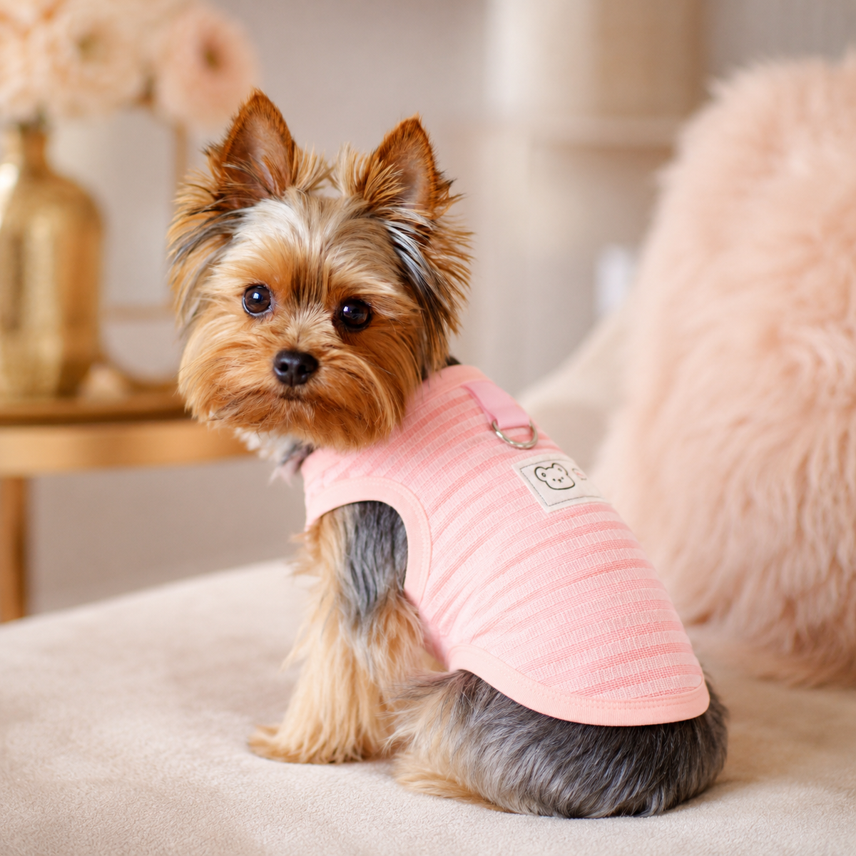 The Two-Leg Everyday Coat