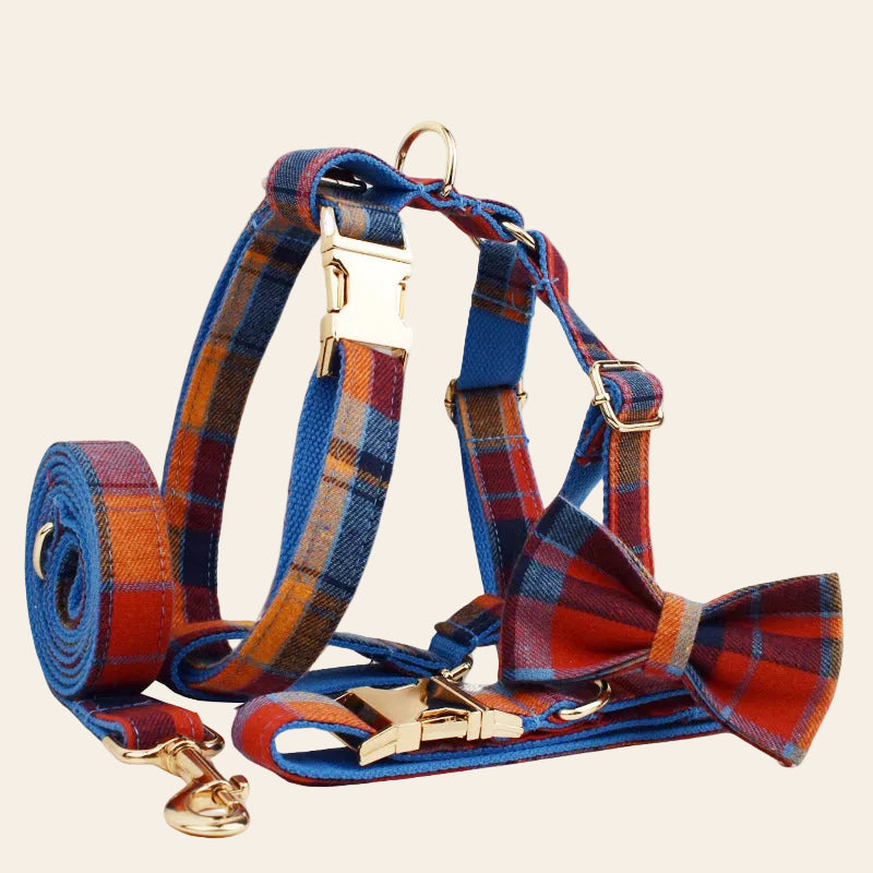 The Gentleman Bow Set